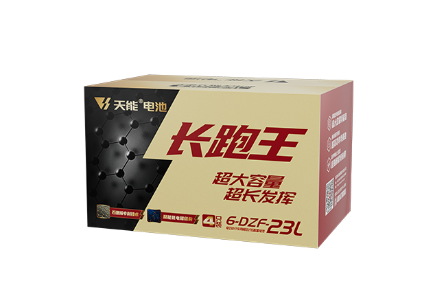 菲彩国际长跑王系列