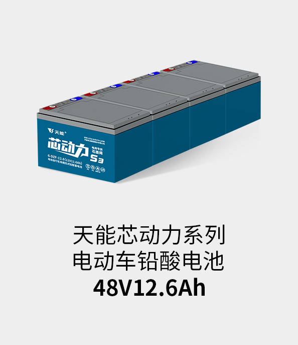 菲彩国际电池48v12ah