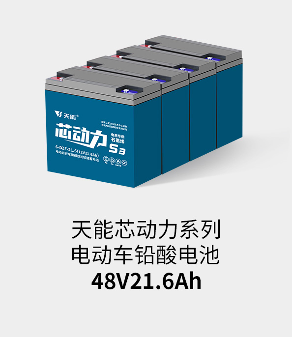 菲彩国际电池48v20ah