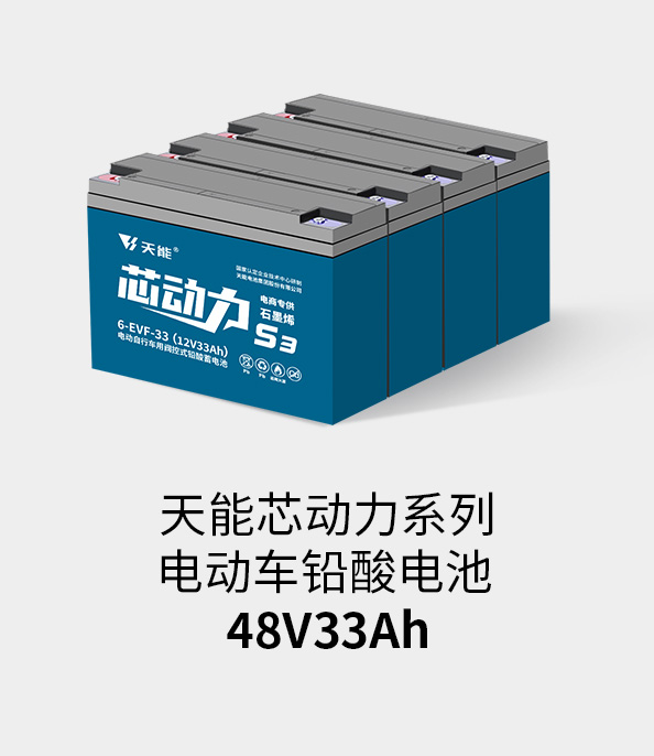菲彩国际电池48v32ah