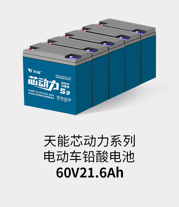 菲彩国际电池60v20ah