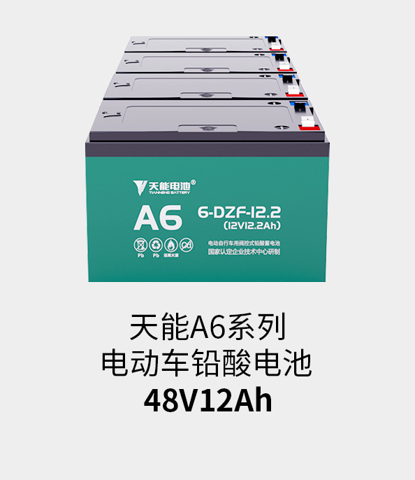 菲彩国际电池48v12ah