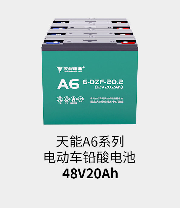 菲彩国际电池48v20ah
