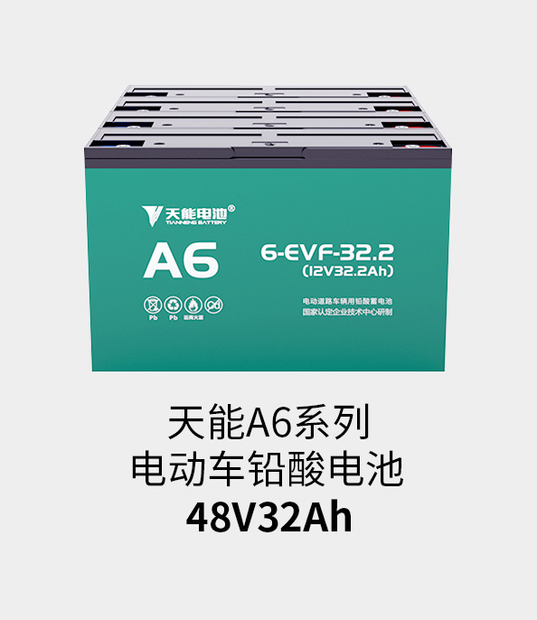 菲彩国际电池48v32ah
