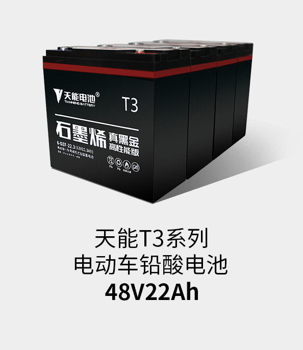 菲彩国际T3系列48v22ah