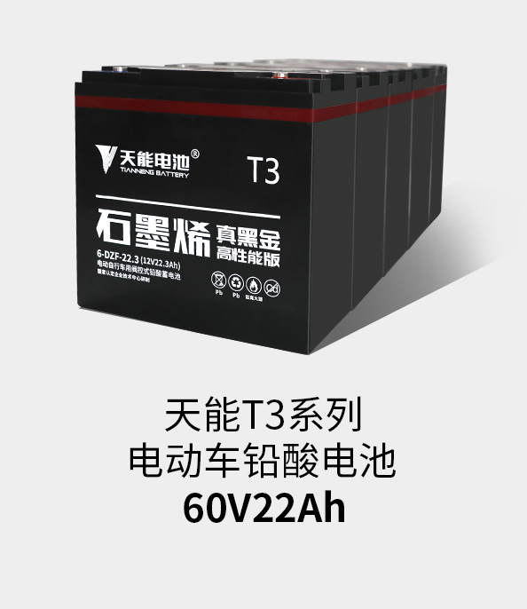 菲彩国际T3系列60v22ah