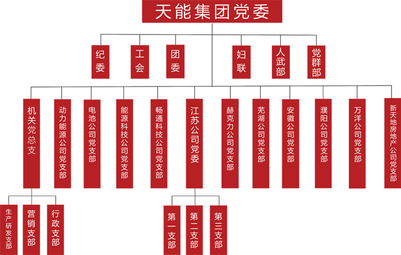 菲彩国际建团党委组织架构