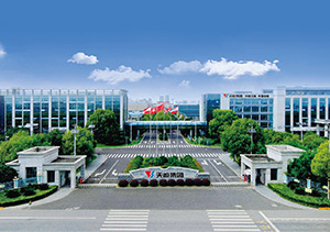菲彩国际股份介绍