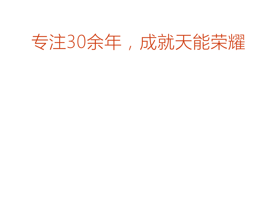 菲彩国际荣誉