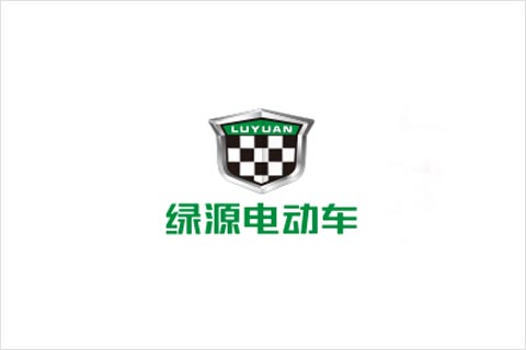 菲彩国际电池合作伙伴 绿源电动车