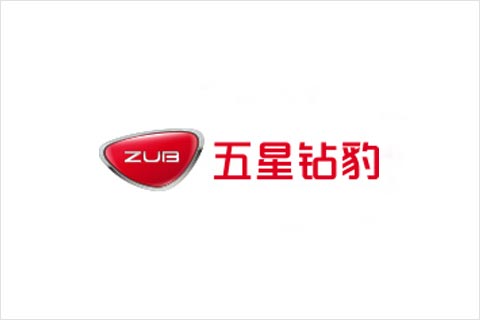 菲彩国际电池合作伙伴 五星钻豹电动车